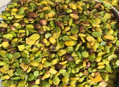 تصویر 3 از قیمت مغز پسته کوهی + خرید باور نکردنی
